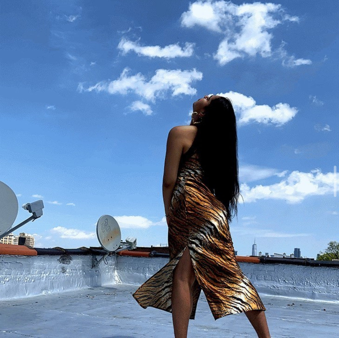 Tiger Mid-Length Dress